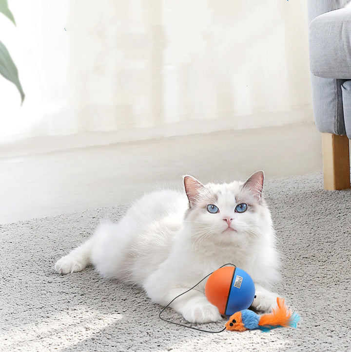 Automatic Interactive Teeth Grinding Toy Ball for Pets