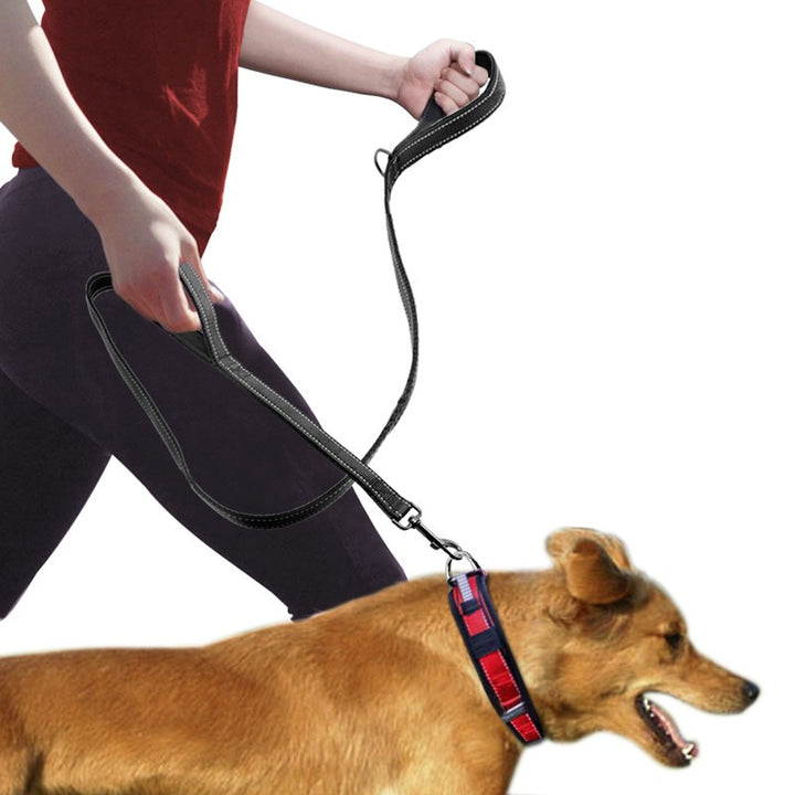 Double Handle Pet Leash Durable Control