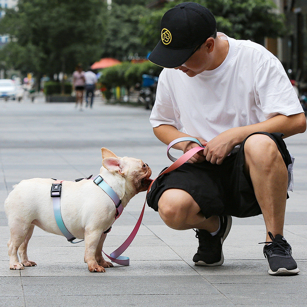 Adjustable Pet Leash For Small And Medium Pets