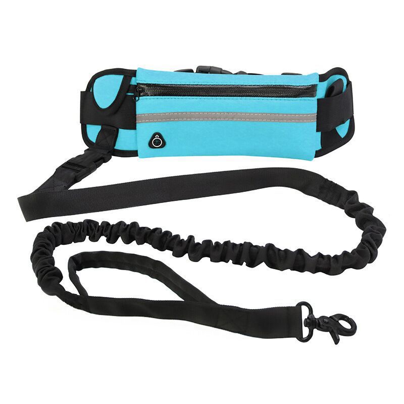 Pet Purse Leash Convenient Design For Walking