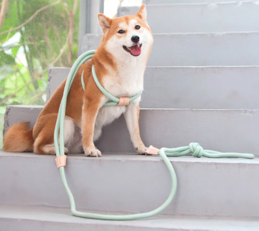 Pet Multi-Functional Chest Harness Adjustable Anti-Burst Leash