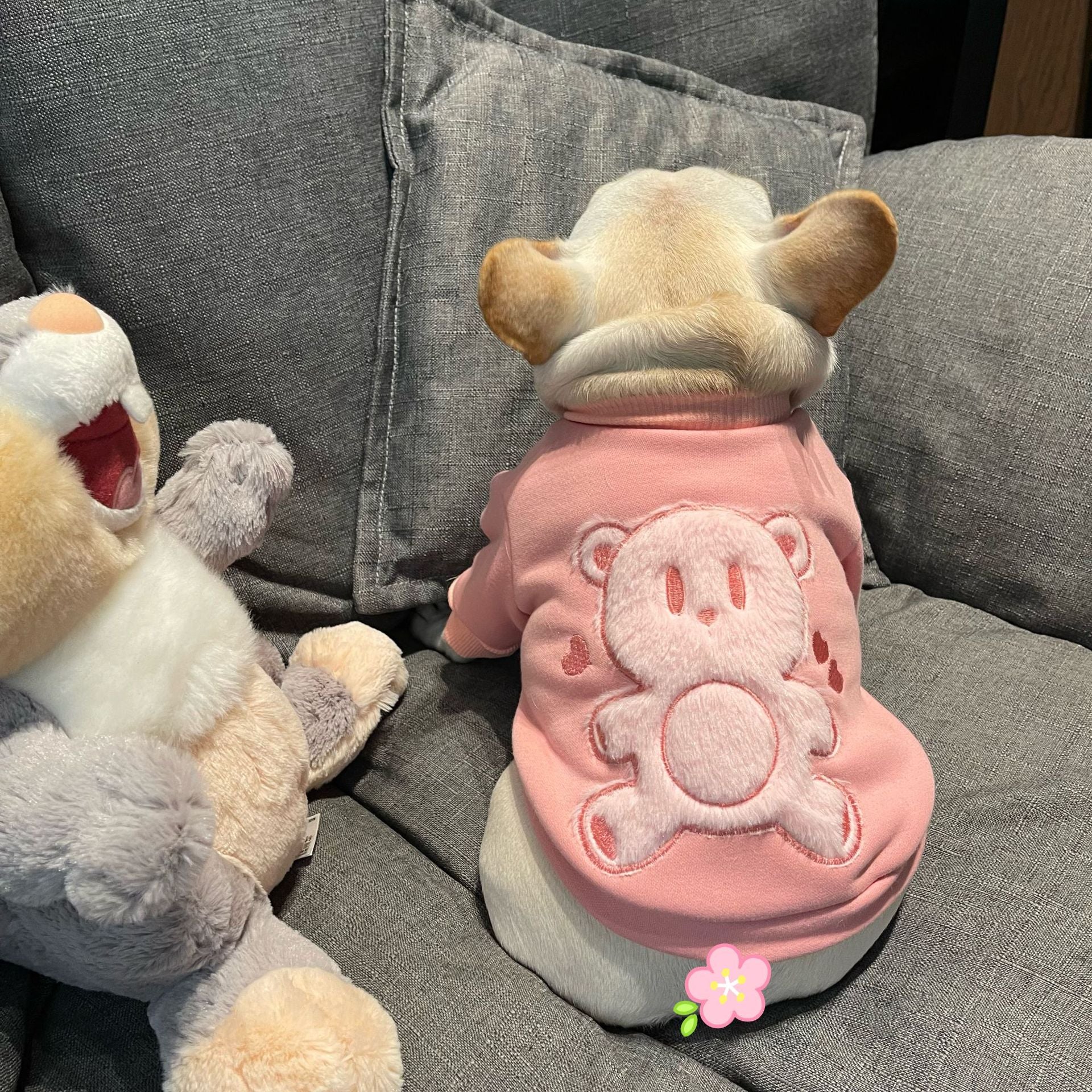 Plush Princess Sweater Soft Pet Clothing