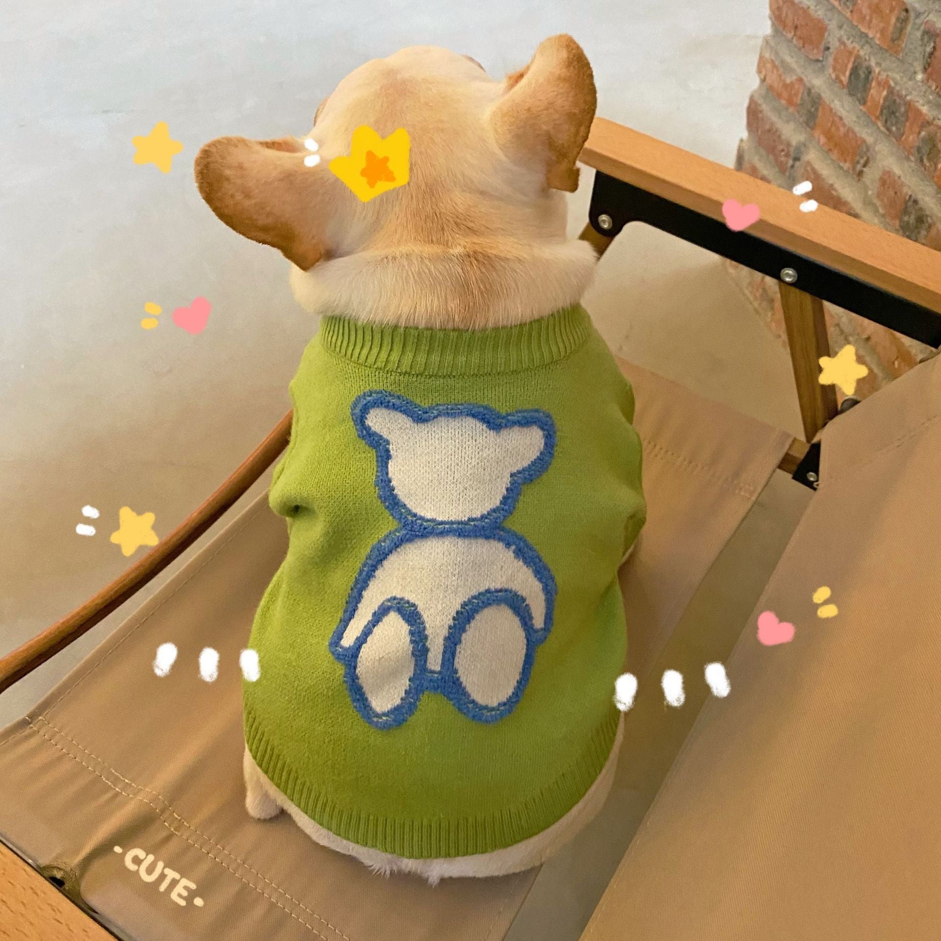 Cozy Fall Winter Sweater Comfortable Pet Wear