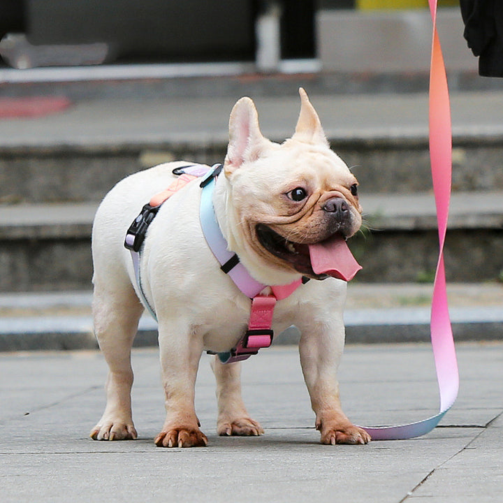 Adjustable Pet Leash For Small And Medium Pets