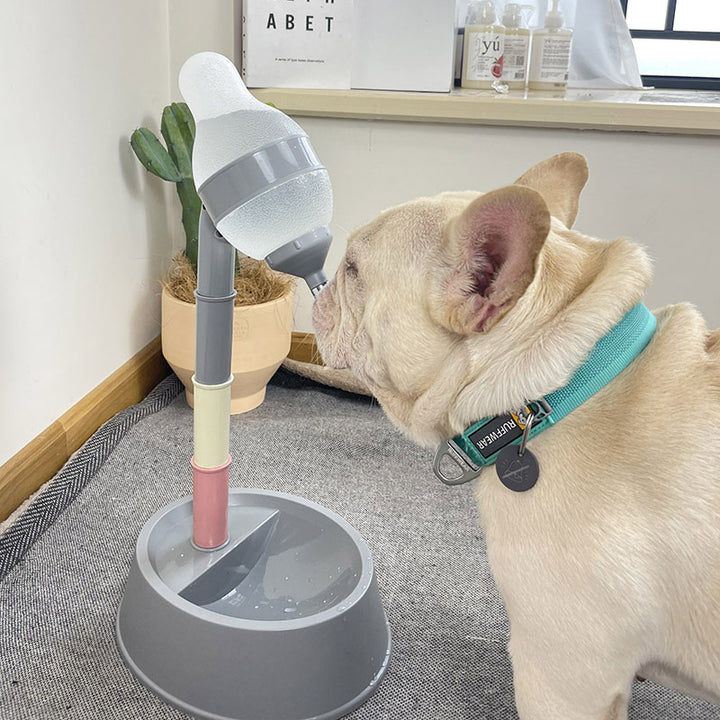 Adjustable Elevated Automatic Pet Water Dispenser and Feeder