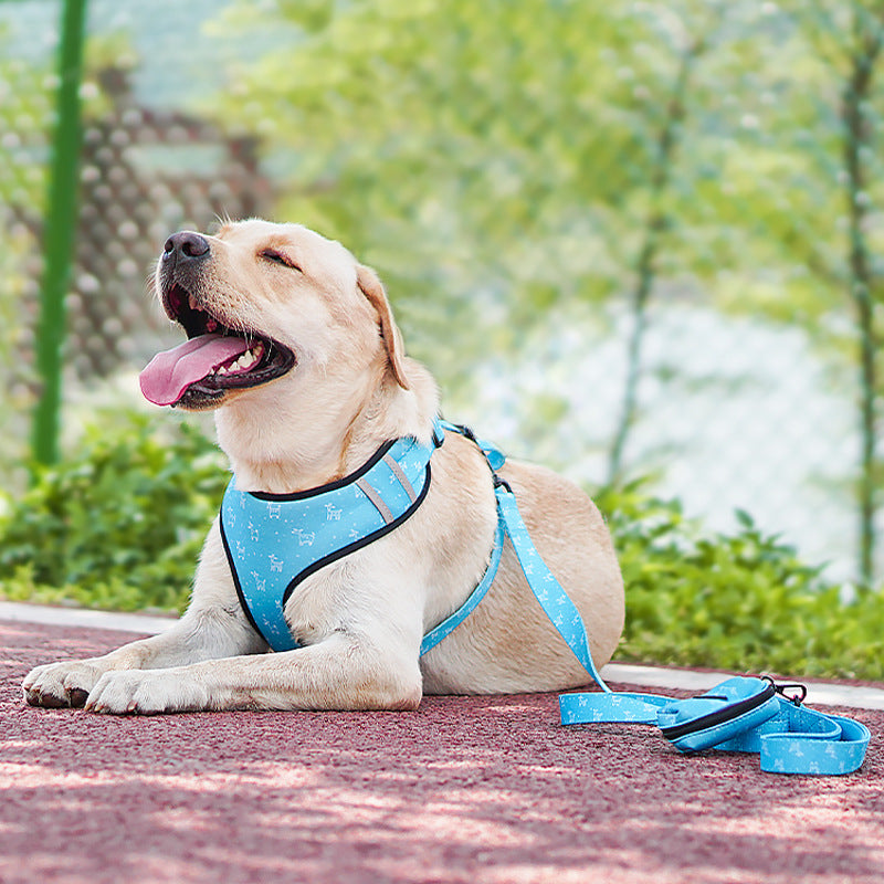 Pet Leash Harness With Decorative Bow
