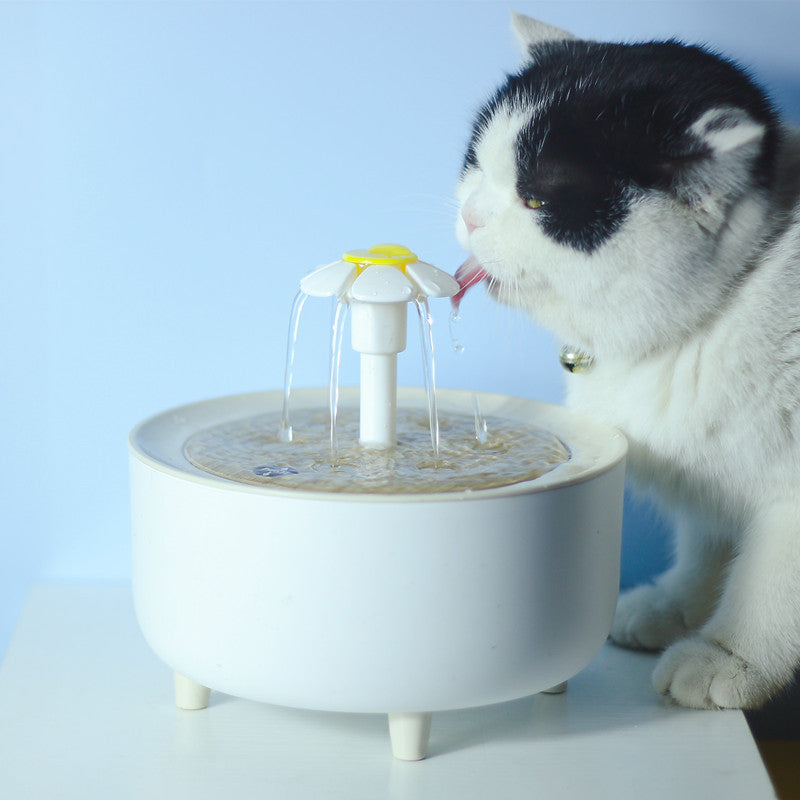 Automatic Loop-Filtering Water Dispenser for Pets