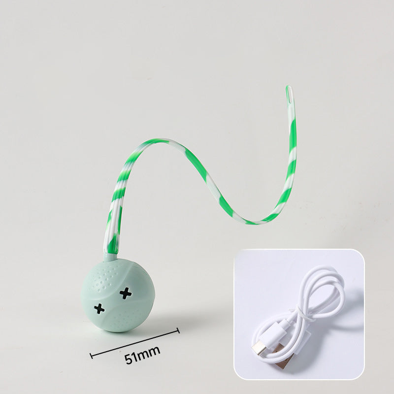 Interactive Motion-Activated Pet Ball Toy With Sensor