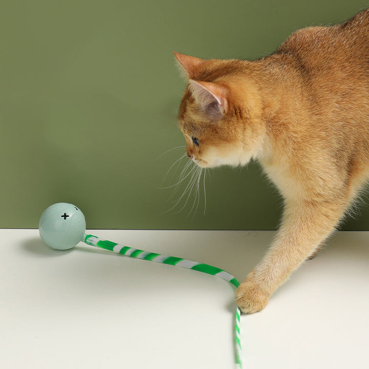 Interactive Motion-Activated Pet Ball Toy With Sensor