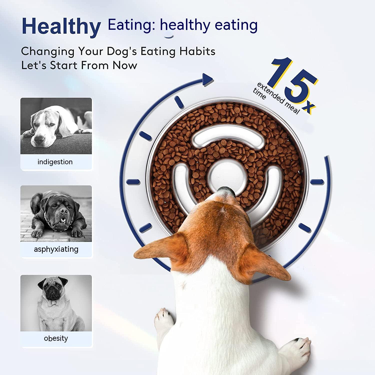 Slow-Feeding Stainless Steel Pet Bowl with Neck Guard
