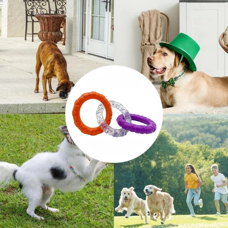 Floating Durable Water Flying Disk Toy for Pets
