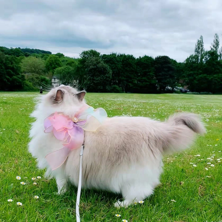Butterfly Design Retractable Pet Leash Anti-Tangle
