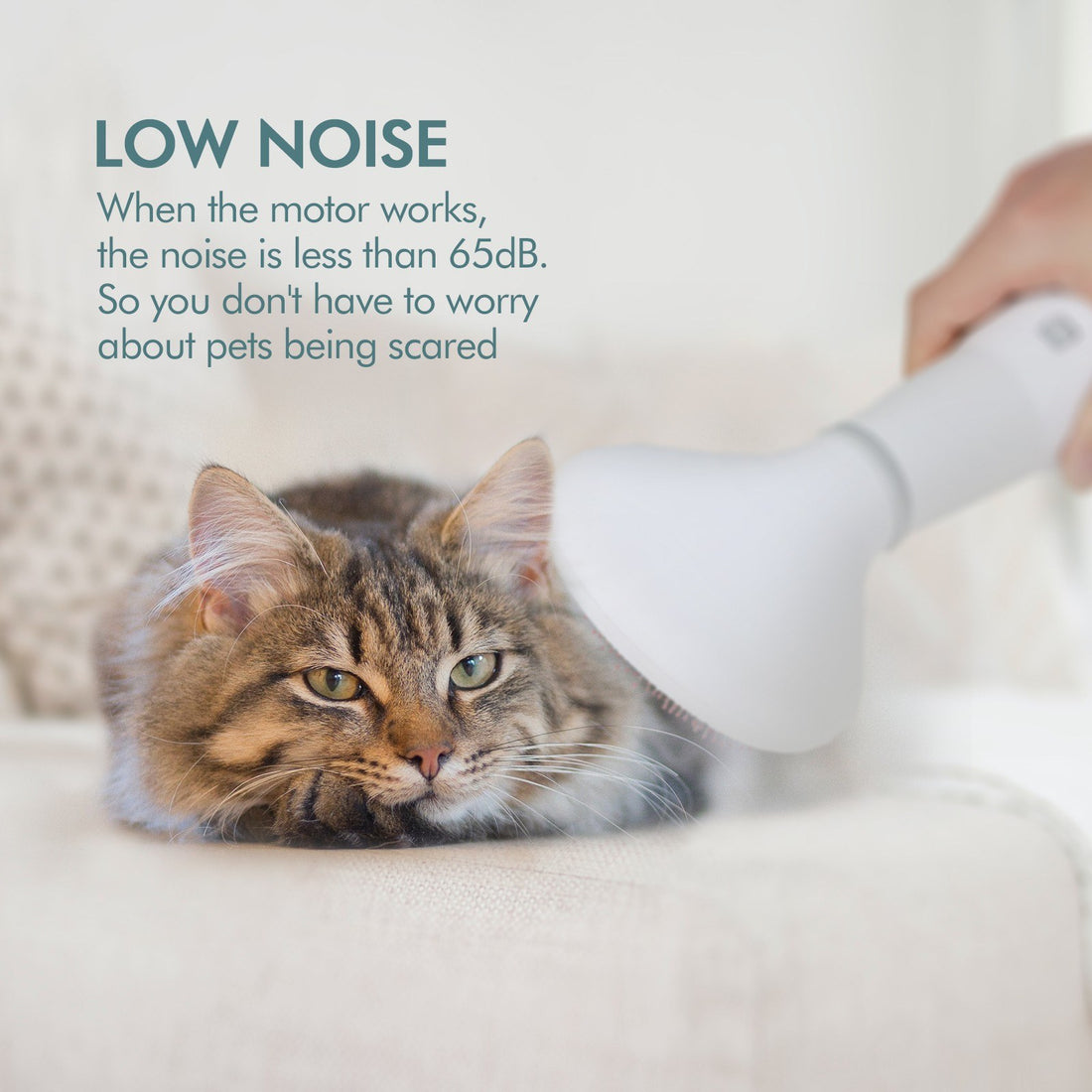 Pet Grooming Dryer and Slicker Brush for Hair Care