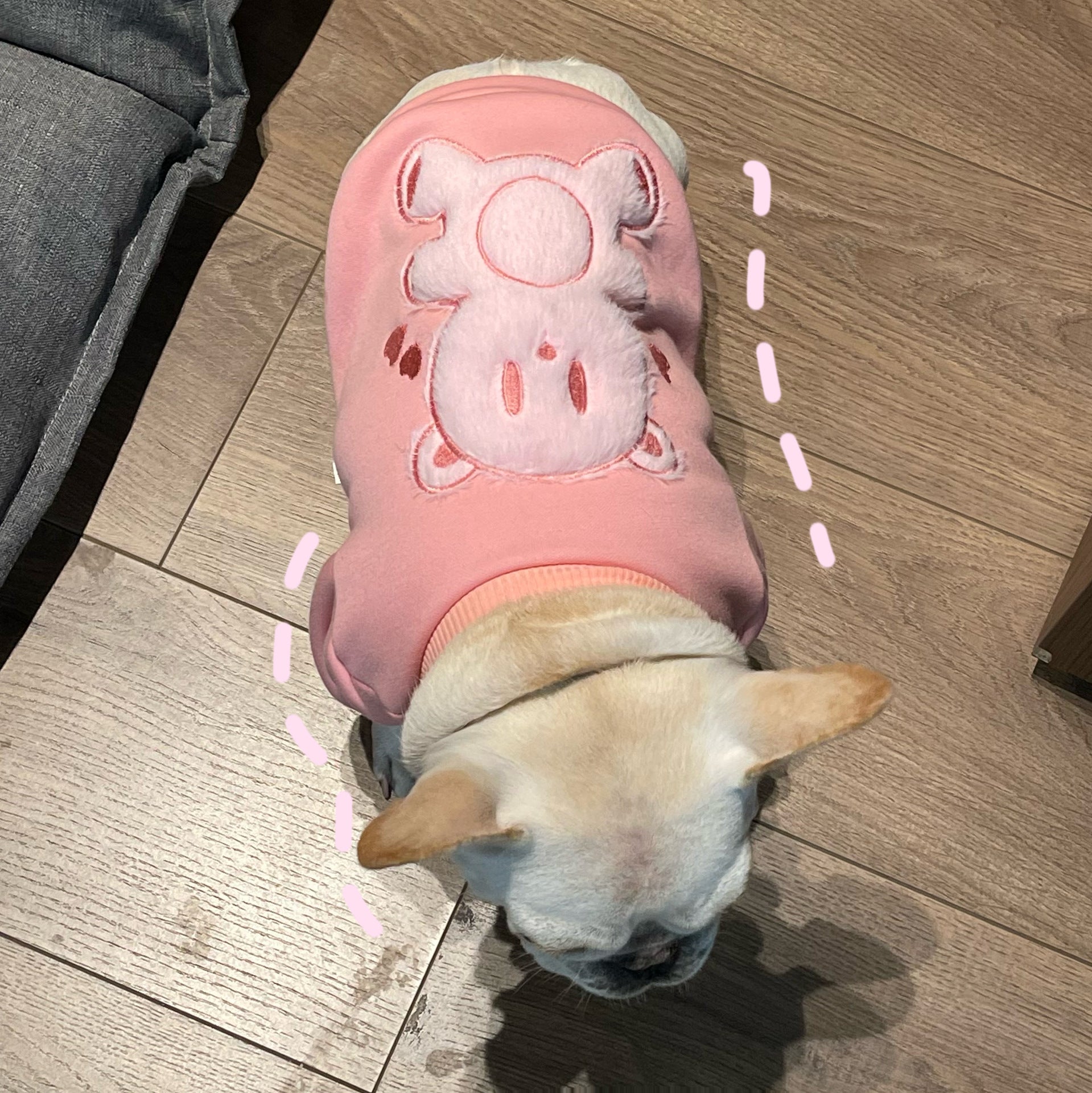 Plush Princess Sweater Soft Pet Clothing