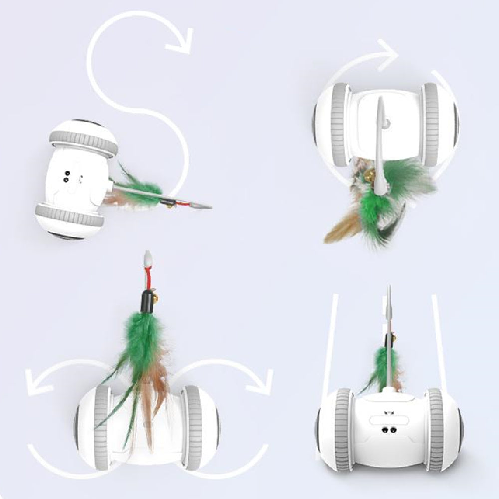 Interactive Feather Toy with Interchangeable Heads for Pets