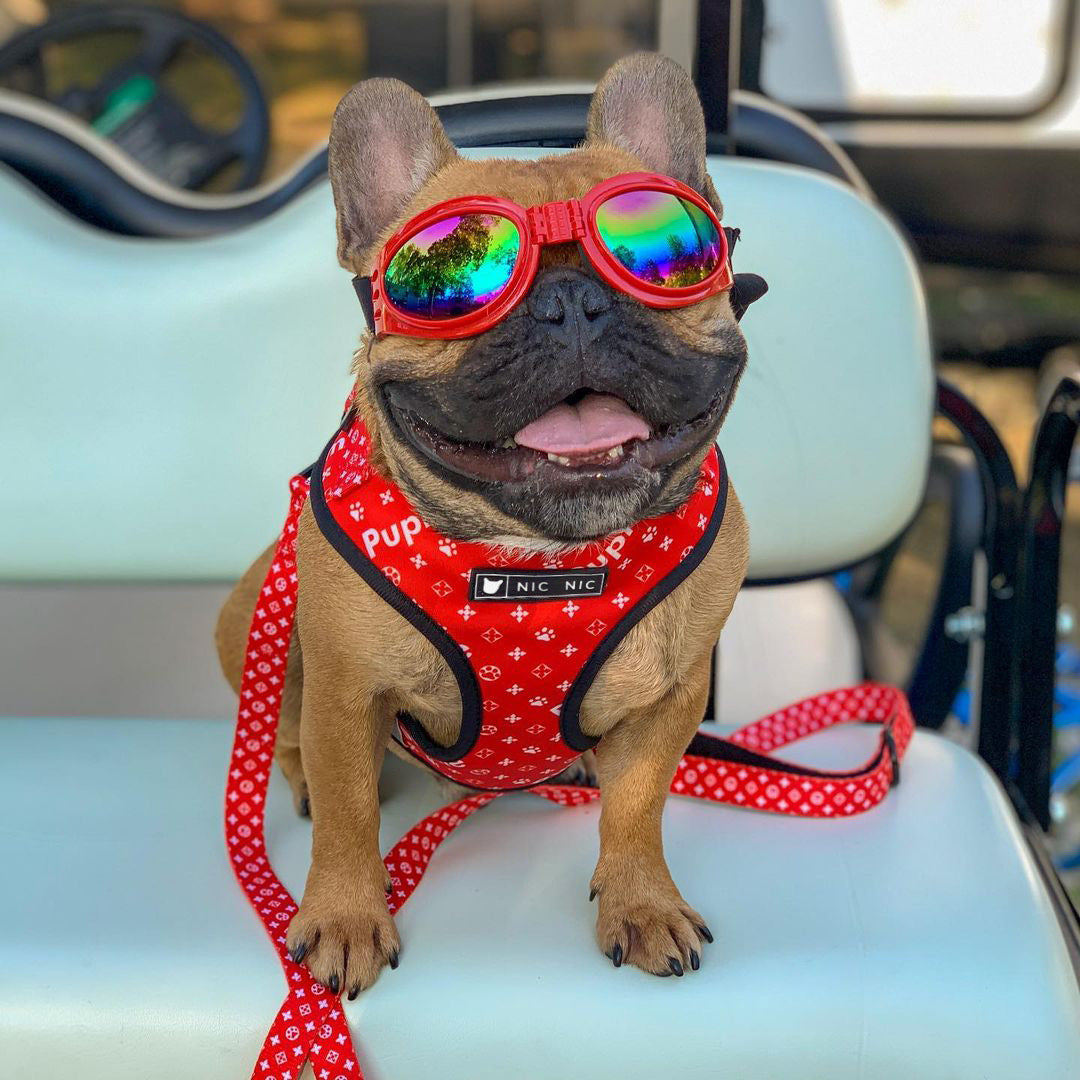Breathable Mesh Pet Leash With Chest Harness