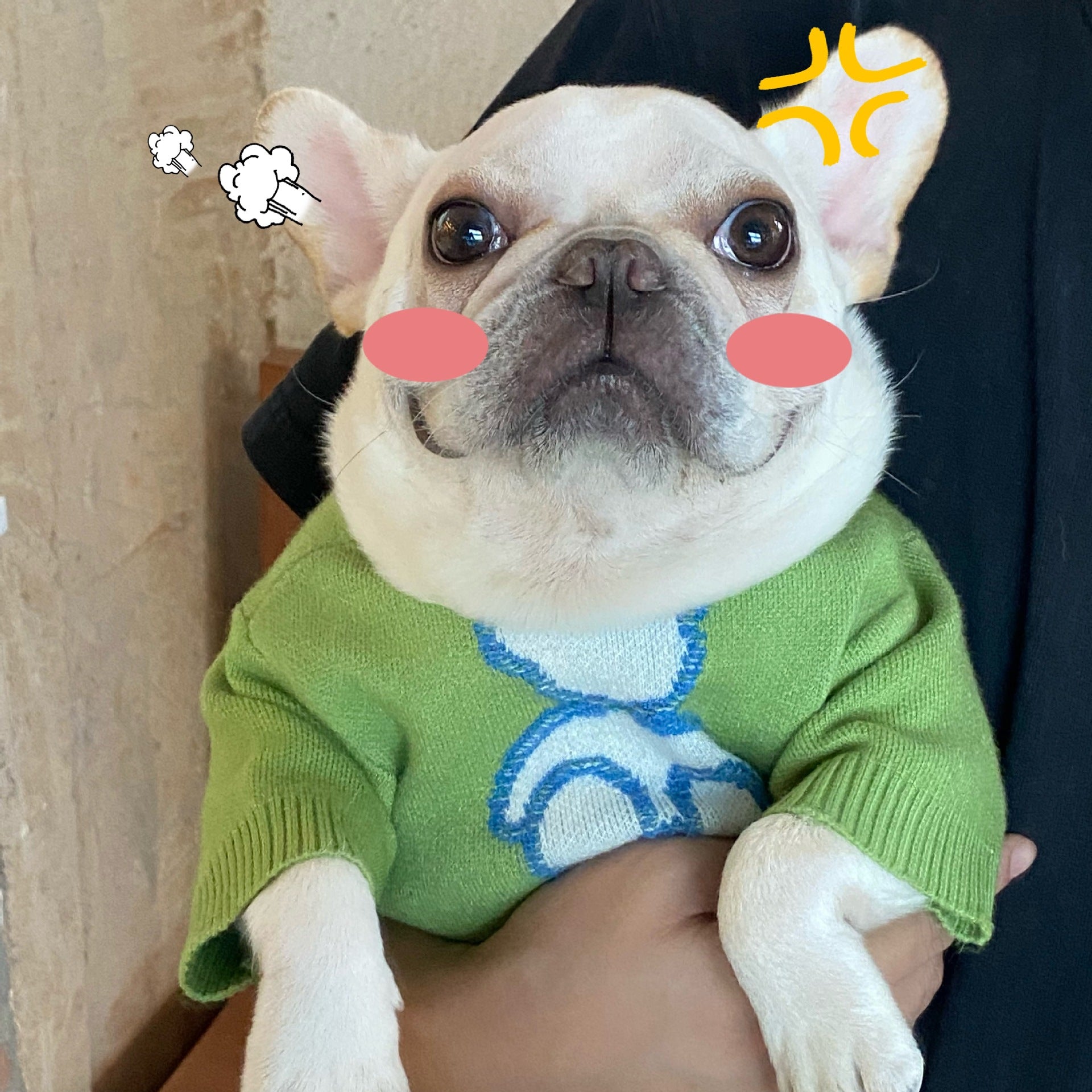 Cozy Fall Winter Sweater Comfortable Pet Wear