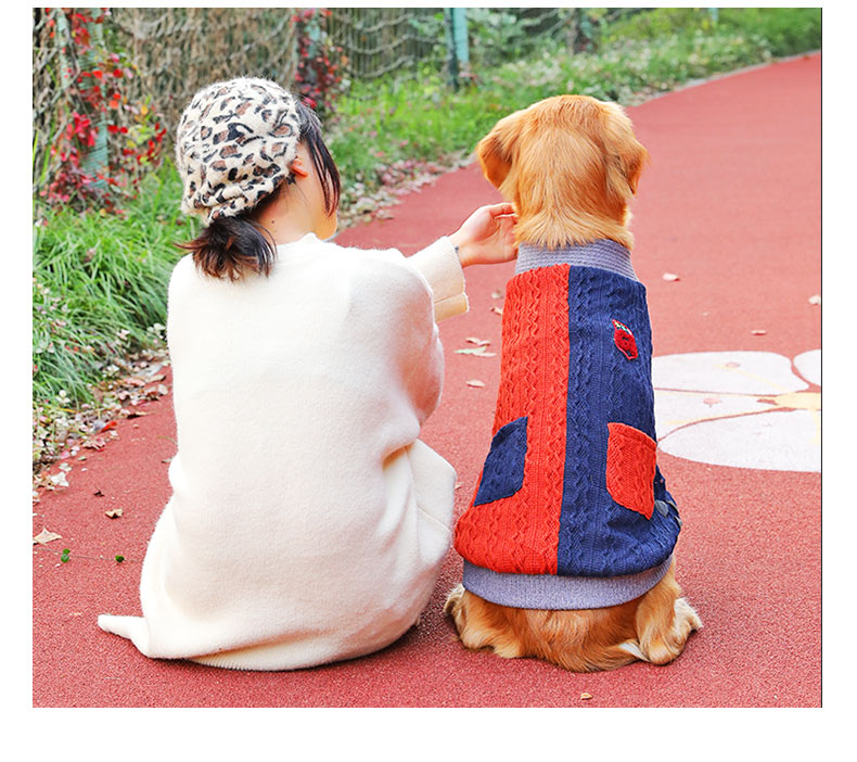 Thick Winter Sweater Warm Large Pet Wear