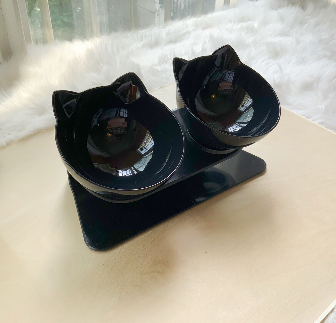 Non-Slip Elevated Double Pet Bowl for Spine Protection