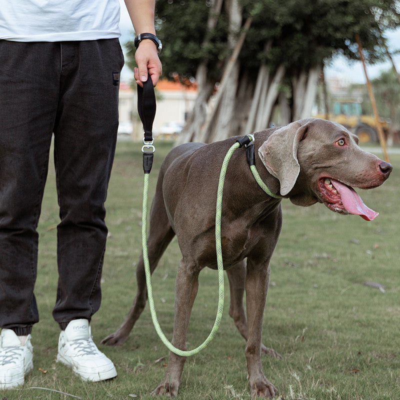 Simple Fashion Pet Leash Anti-Burst Durable Design
