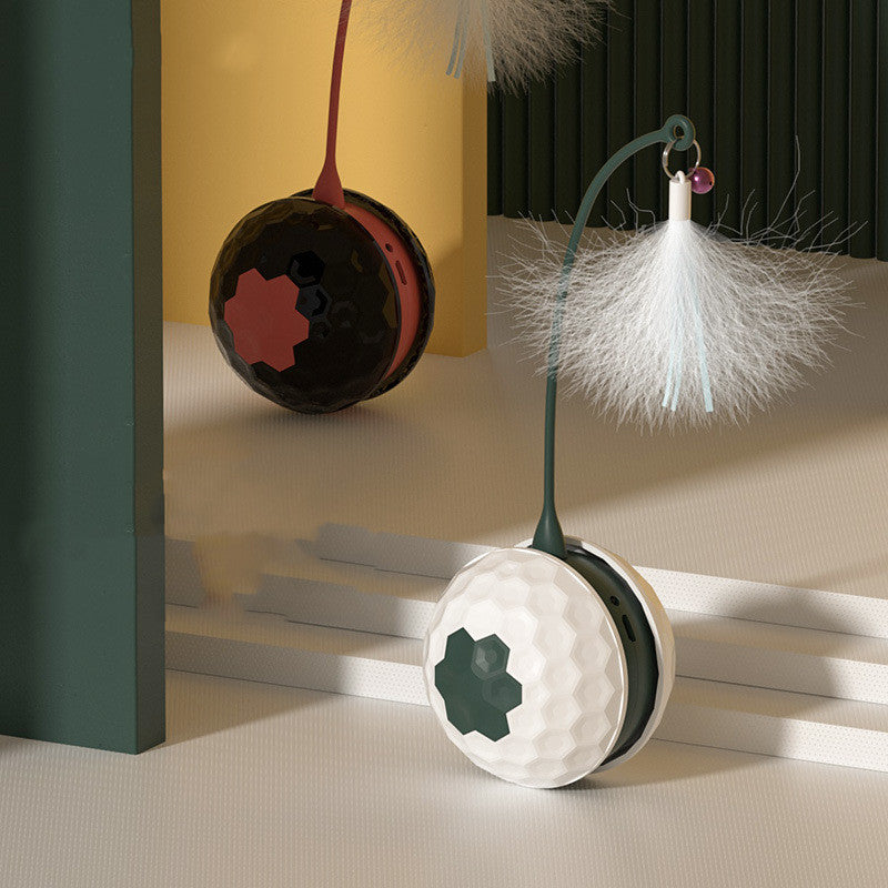 Electric Interactive Bite-Resistant Toy for Pets