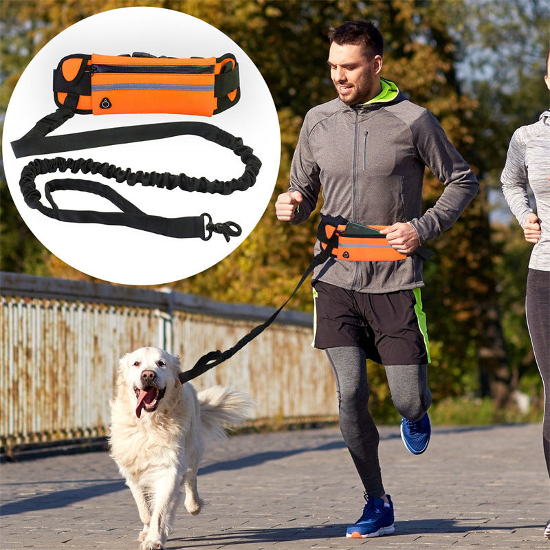 Pet Purse Leash Convenient Design For Walking