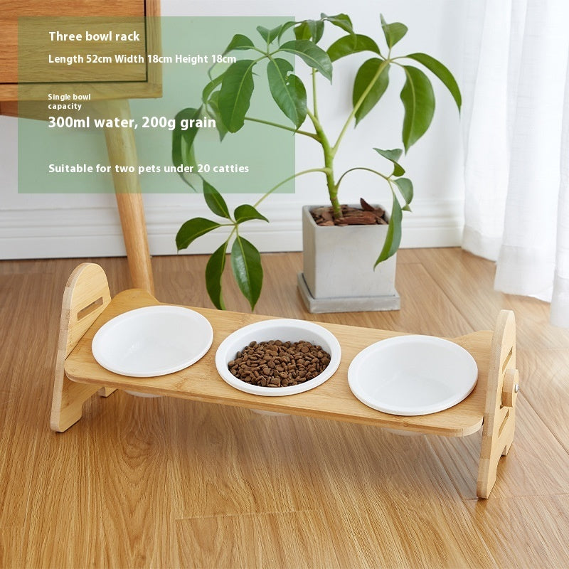 Tilted Pet Bowl for Cervical Spine Protection