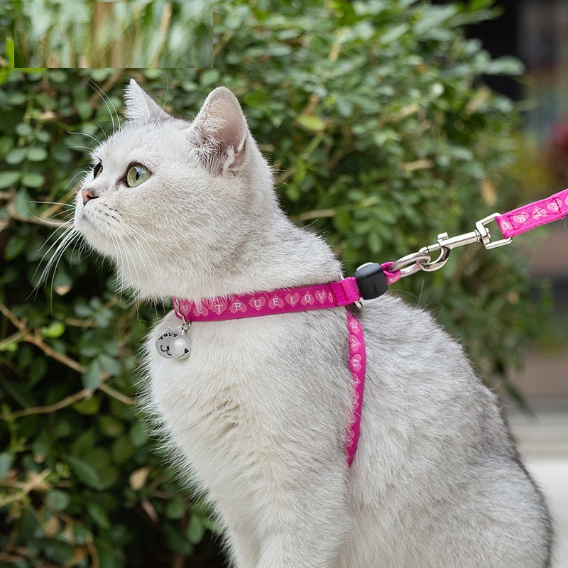 Multi-Functional Pet Bell Chest Strap Harness Leash