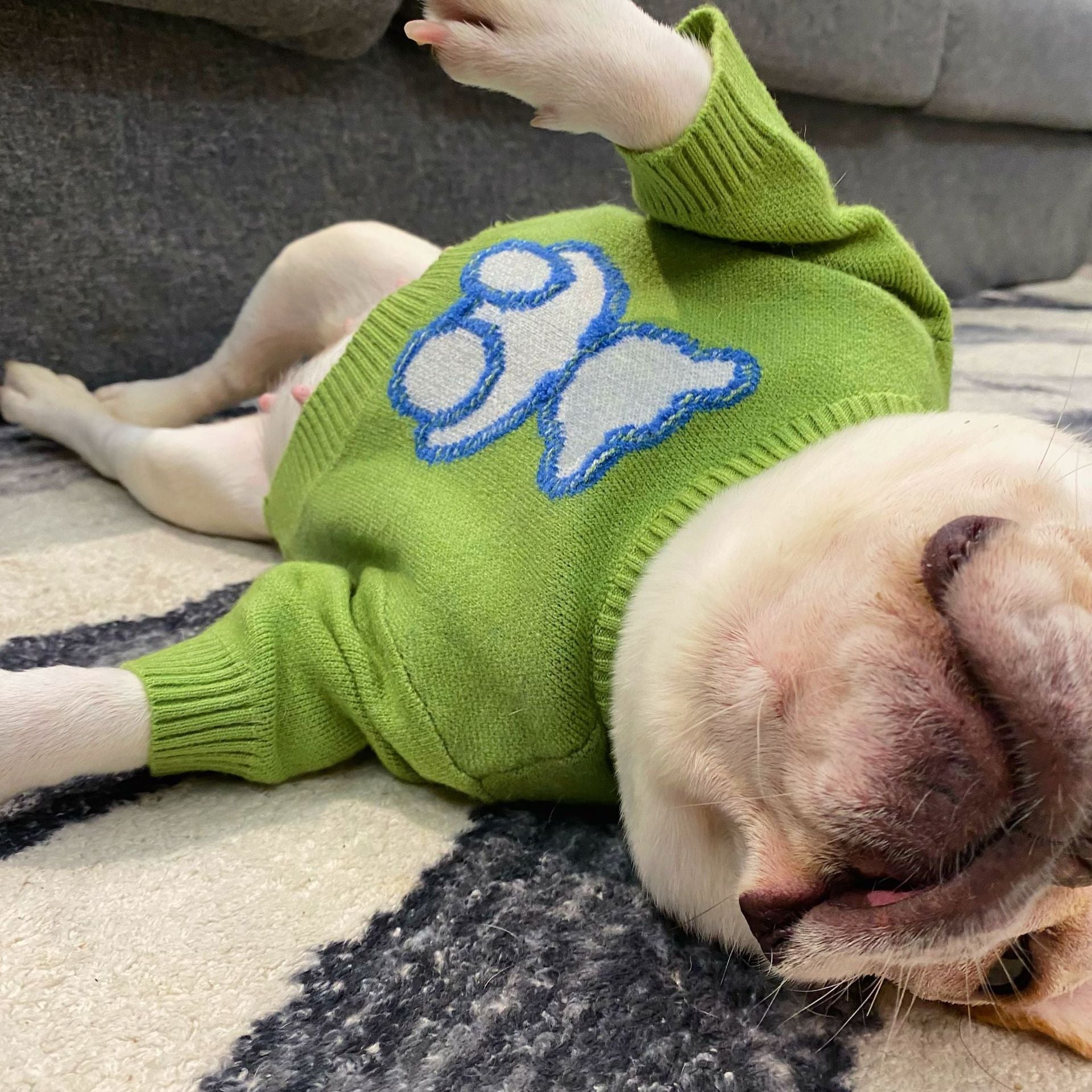Cozy Fall Winter Sweater Comfortable Pet Wear