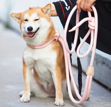 Pet Multi-Functional Chest Harness Adjustable Anti-Burst Leash