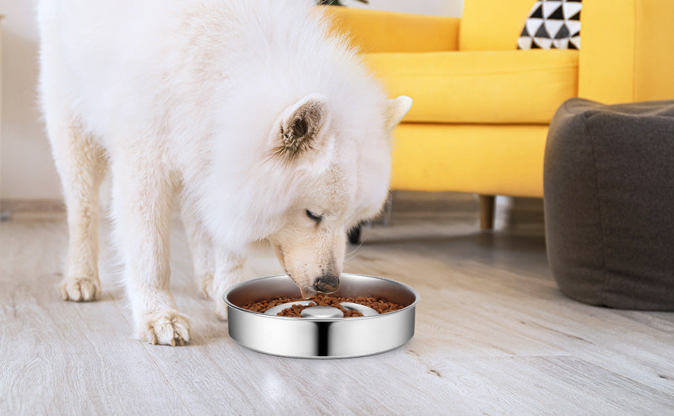 Slow-Feeding Stainless Steel Pet Bowl with Neck Guard