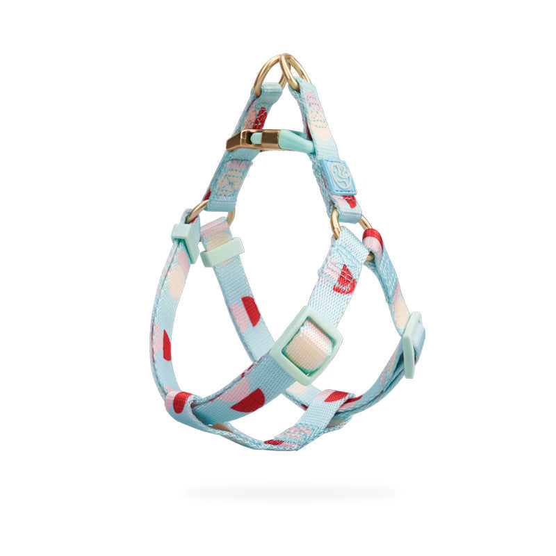 Fashion Y Shaped Chest Strap Pet Leash Adjustable