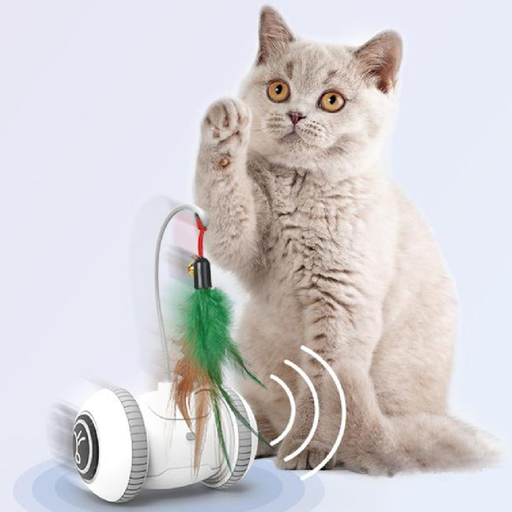 Interactive Feather Toy with Interchangeable Heads for Pets