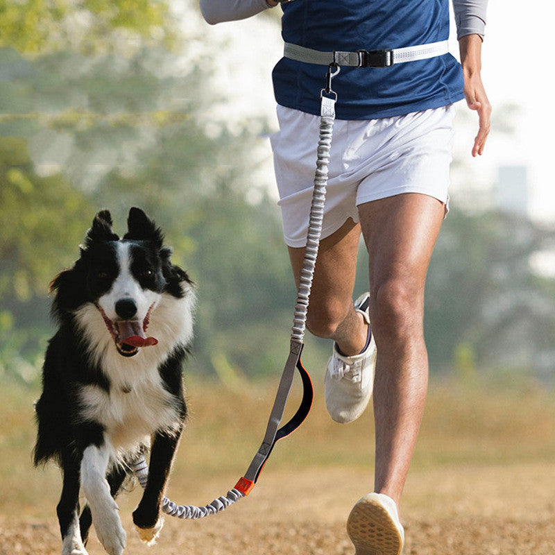 Outdoor Running Pet Leash Durable Adjustable Design