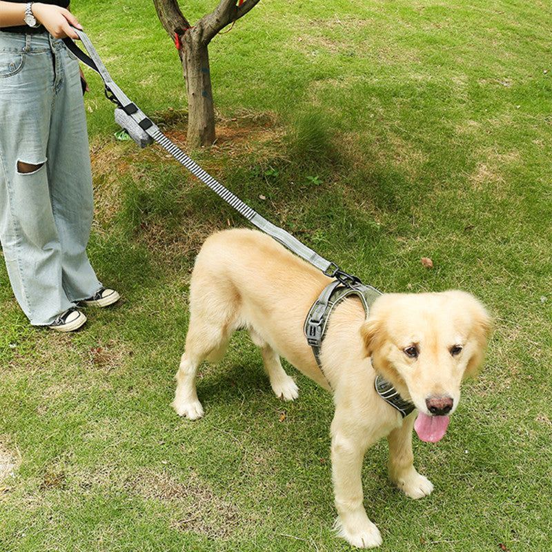Fluorescent Elastic Retractable Pet Leash Anti-Burst Durable